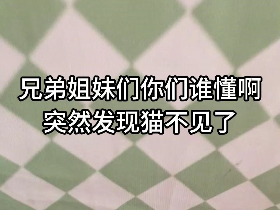 双人游戏手游藏猫猫攻略的简单介绍