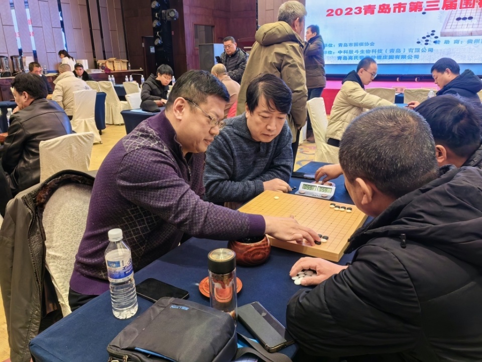 围棋中文科技资讯官网(围棋官方网站)下载