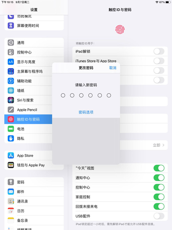 ipad应用下载取消输密码(ipad下载软件要密码怎么取消)下载